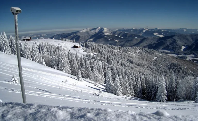 Vue réaliste d’un paysage de montagne enneigée au Bessat, avec des forêts de pins givrés sous un ciel bleu dégagé.